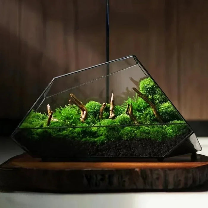 MossyDecor - Geometrische glazen mos plantenbak terrarium vaas | Modern design en natuurlijke schoonheid | Perfect om een vleugje groen toe te voegen aan elke ruimte