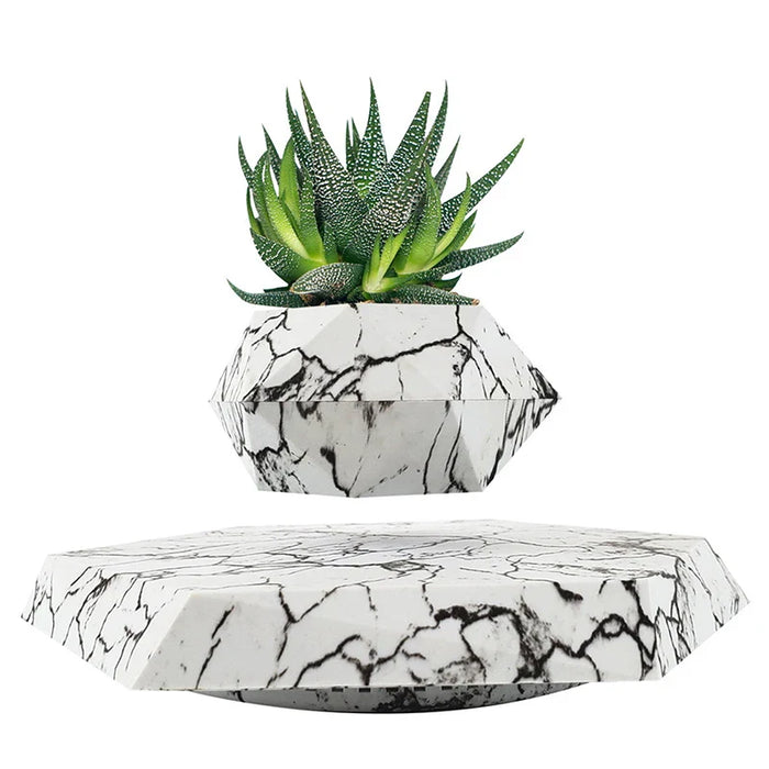 Veylo - Magische drijvende bonsai plantenbak voor moderne decoratie