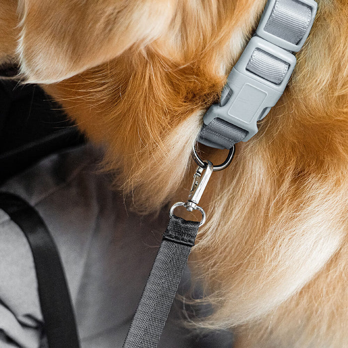 AutoLuxe | Autosofa voor Honden | Stressvrij Reizen | Veiligheid voorop