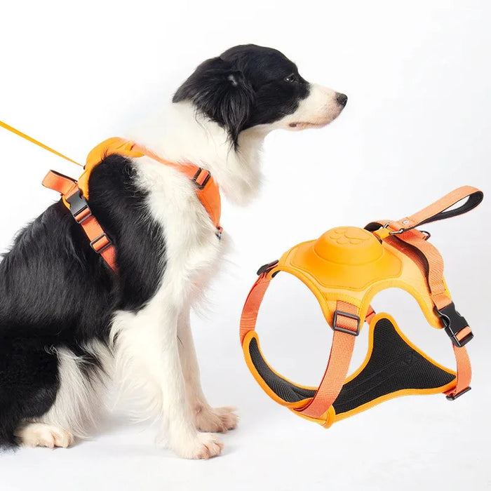 Dogpro | Winterproof Hondenriem en Borsttuig met Geïntegreerde Automatische Terugloop