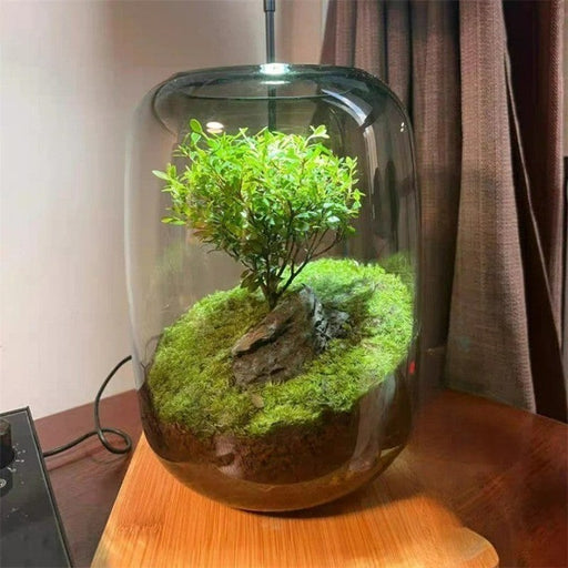 Decoratieve Glazen Vaas | Groene Oase Thema, Een Eyecatcher voor je Tafel Finn Brands