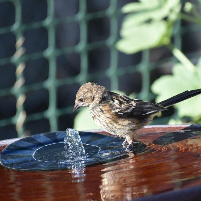 Sunsplash | Fontein Op Zonne-Energie | Waterpartij Voor Buiten in de Tuin