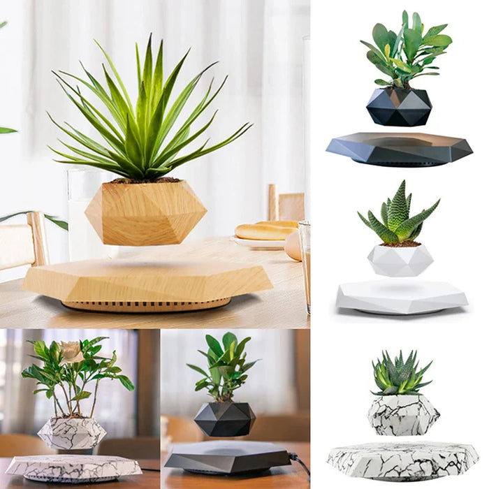 Veylo - Magische drijvende bonsai plantenbak voor moderne decoratie