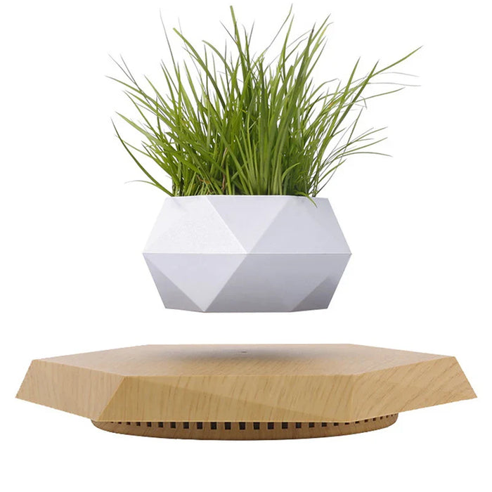 Veylo - Magische drijvende bonsai plantenbak voor moderne decoratie