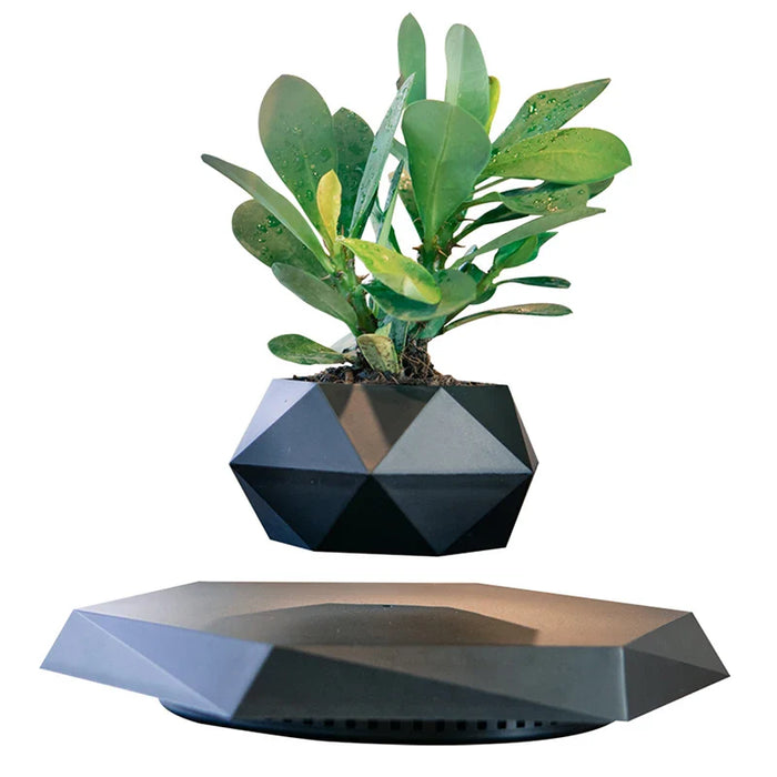Veylo - Magische drijvende bonsai plantenbak voor moderne decoratie