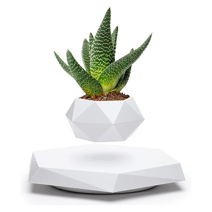 Veylo - Magische drijvende bonsai plantenbak voor moderne decoratie