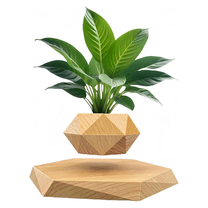 Veylo - Magische drijvende bonsai plantenbak voor moderne decoratie