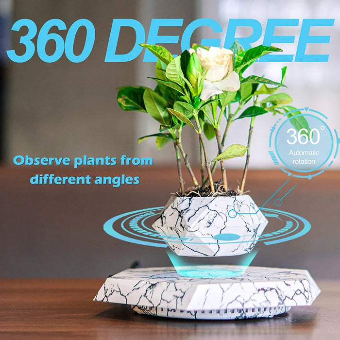 Veylo - Magische drijvende bonsai plantenbak voor moderne decoratie